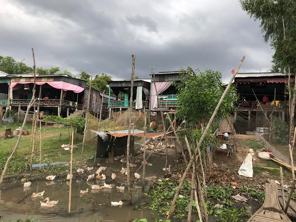 Truyền giáo 29